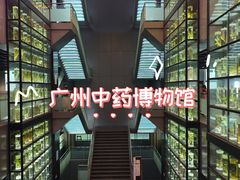 -广东中医药博物馆