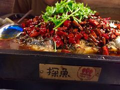 -探鱼·鲜青椒爽麻烤鱼(广州花都来又来店)