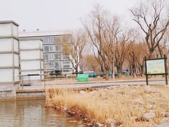 -廊坊文化艺术中心