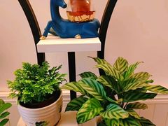 -宫七SPA·高端Massage(浦东大道店)
