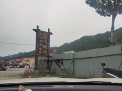 -可心烤鱼