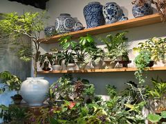 -自由生长植物工作室(深港花卉中心店)