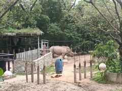 -深圳野生动物园