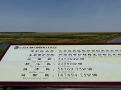 -盐城丹顶鹤湿地生态旅游区
