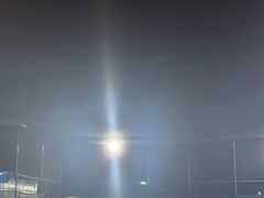 -君成体育|网球培训(蛇口校区)