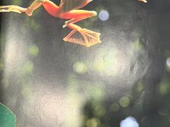 -I-Shine英语国际教育(大三林中心)