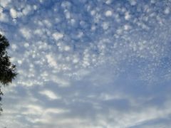 -野鸭湖国家湿地公园