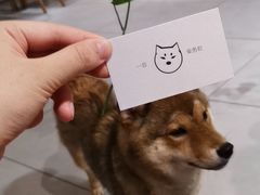 -柴务处·柴犬主题狗咖