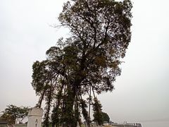 -观潮胜地公园