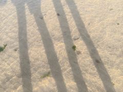 -悦海公园