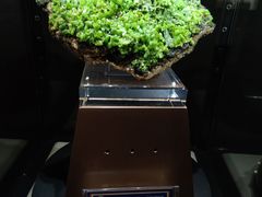 -中国地质大学逸夫博物馆