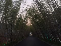 -婺源梦里老家大型山水实景演出