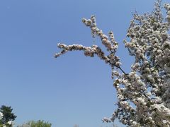 -海棠花溪(元大都城垣遗址公园)