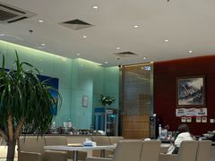 -桃仙机场头等舱休息室