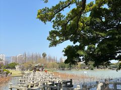 -江心屿景区
