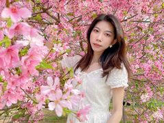 -天适樱花悠乐园