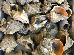 -渔民船说·北塘海鲜·天津菜·海肠捞饭(北塘古镇店)