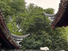 -西园戒幢律寺