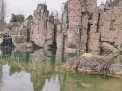 -秀丽东方