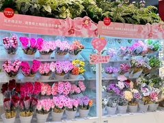 -天虹购物中心(深圳龙华店)