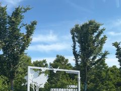 -盐城丹顶鹤湿地生态旅游区