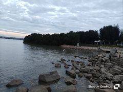 -宝安西湾红树林湿地公园