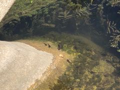 -碓臼峪自然风景区