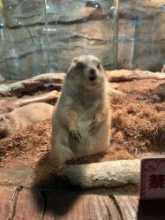 -Zoolung Zoolung动物主题公园(海信广场店)