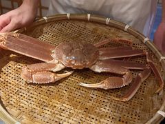 -綱元·海鲜豆捞(明州里店)