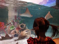 -沈阳海洋探索中心