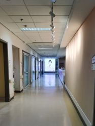 -北京爱育华医院-医疗美容科