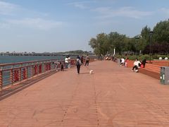 -丁香湖公园
