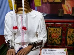 -信不信由你博物馆