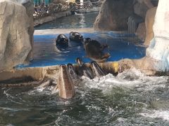 -华夏文旅海洋公园