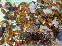 -万龙洲海鲜(大兴绿地缤纷城店)