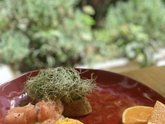 -萨尔瓦多Salvador's