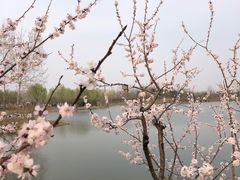 -东郊湿地公园