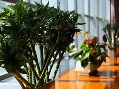 -天津水游城丽筠酒店