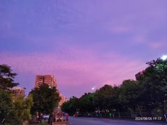 -飞来湖湿地公园