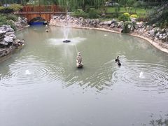 -上海虹桥迎宾馆