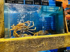 -玖味(老工人西路店)