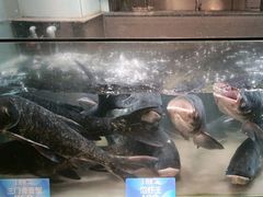 -上名堂·鱼头好吃(体育场路店)