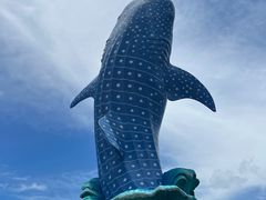 -珠海长隆海洋王国