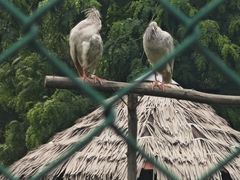 -秦皇岛野生动物园