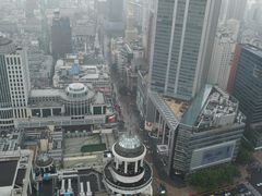 -上海新世界丽笙大酒店旋景餐厅(人民广场店)