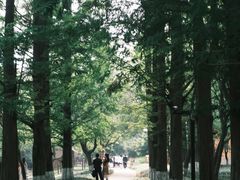 -良渚古城遗址公园