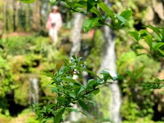 -成都杜甫草堂博物馆