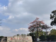 -凤岗南门山森林公园