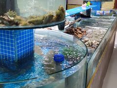 水产区-抹直口特色菜馆(一店)