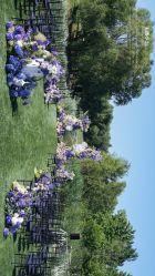 点击看大图 -美薇亭婚礼顾问